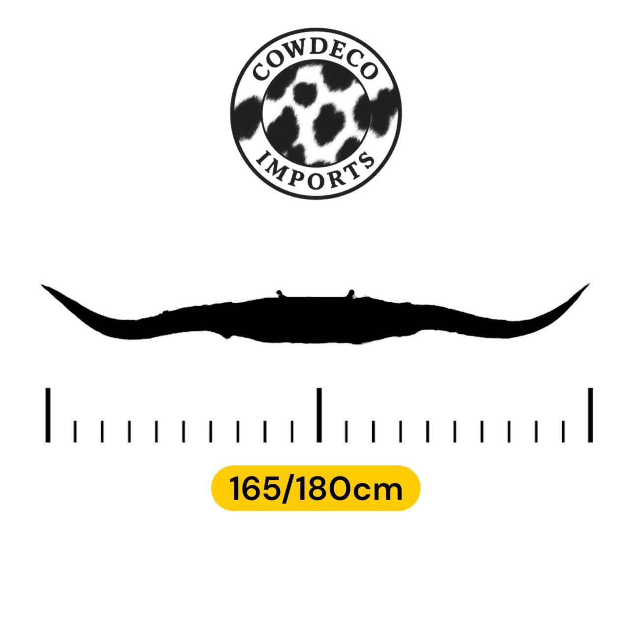 Wholesale Longhorn (160cm)
