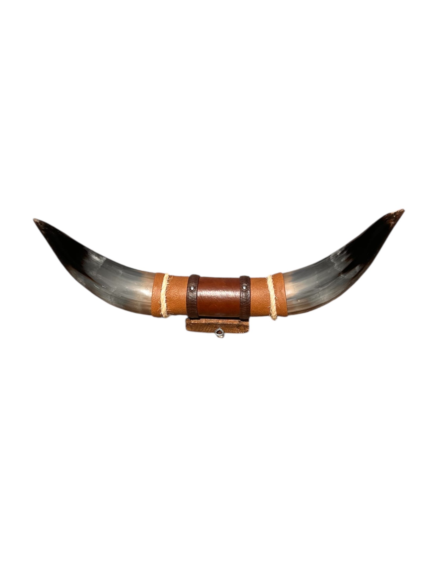 Wholesale Minihorn (50cm)