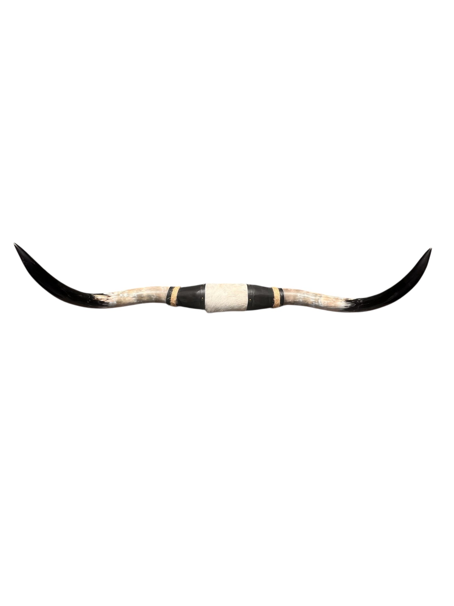 Wholesale Longhorn (160cm)