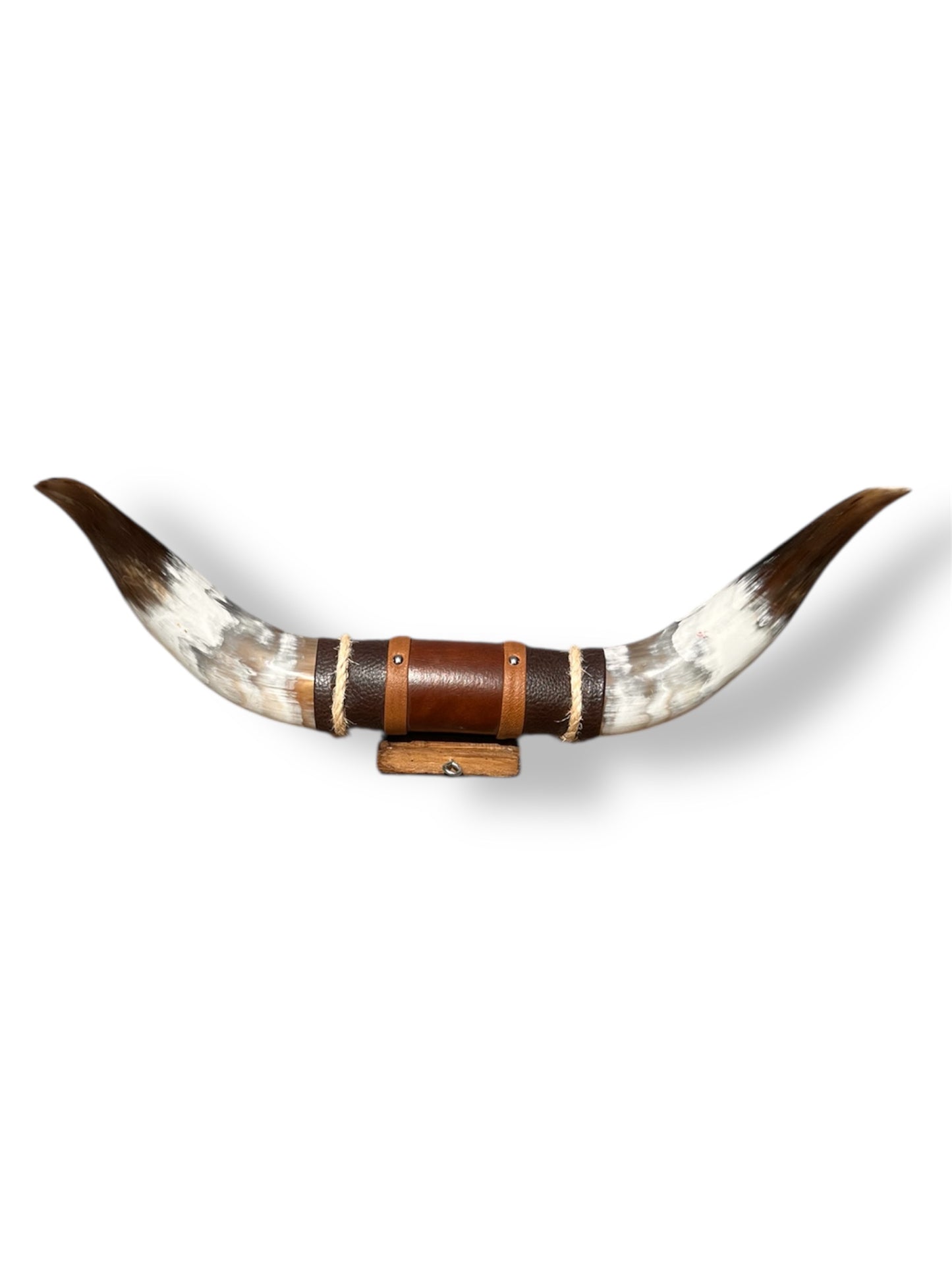 Wholesale Minihorn (50cm)